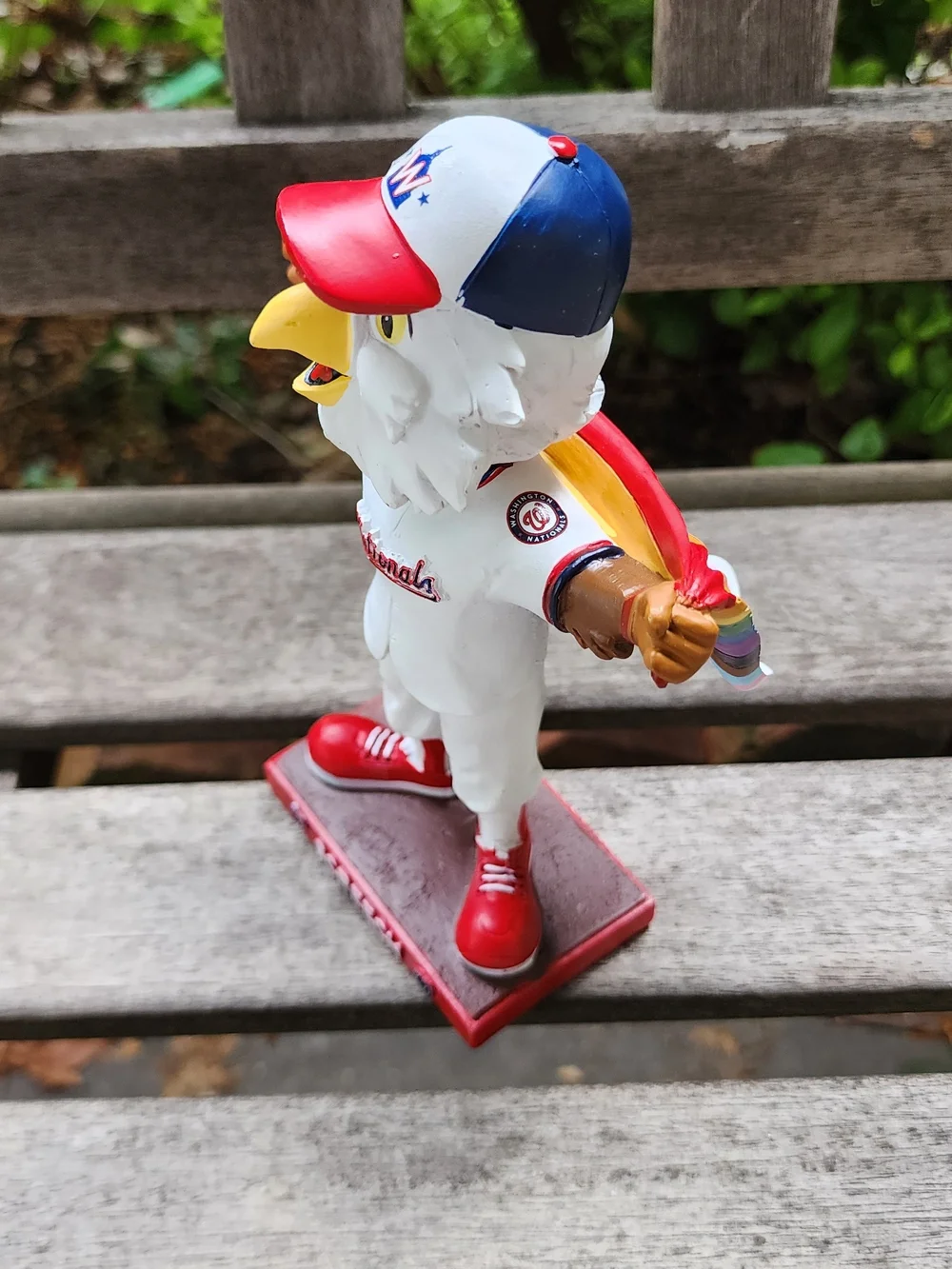 Washington Nationals Screech Mascot. Pride Cape. 2023 Night OUT.